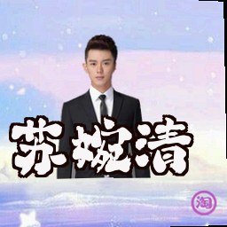 苏婉清